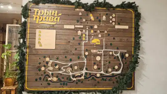 Экоотель Трын-трава - 13