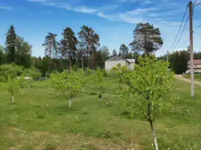 Жемчужина - 32