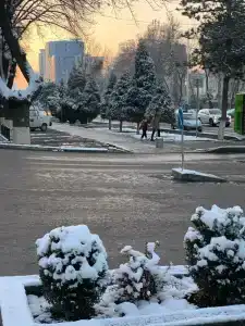Marwa - 42