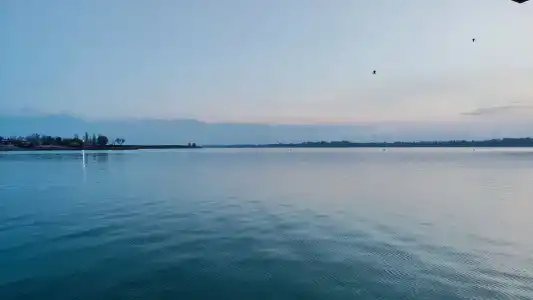 Сазан - 98