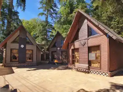 М5 Рент Хаус - 18