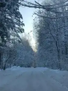 Городец - 26