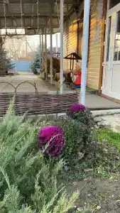 Курени - 32
