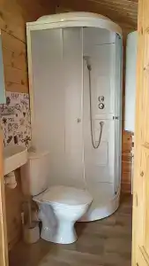Дрозды - 40