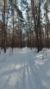 Воронье гнездо - 33