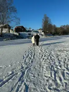 Утро на заводи - 26