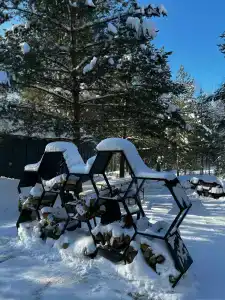 Добро и Лес - 59