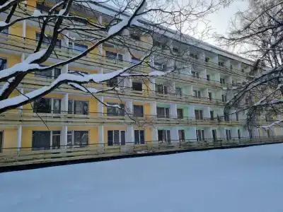 Березки - 20