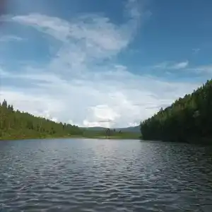 Родники - 25