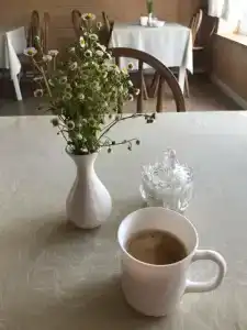 Старый Козельск - 77