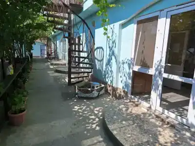 Берекет - 12