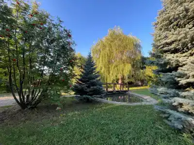 Старый Хутор - 4