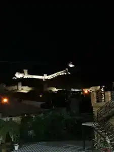 Секвойя - 24
