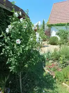 Коттеджи на Заоблачной - 0