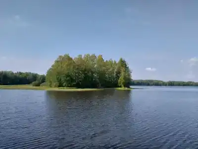 Рябинушка - 30