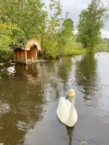 Черные камни - 49