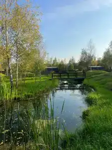 В Поле - 47
