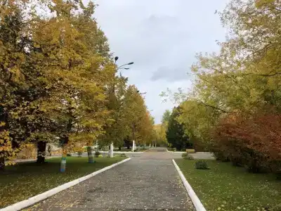 Авитек - 17