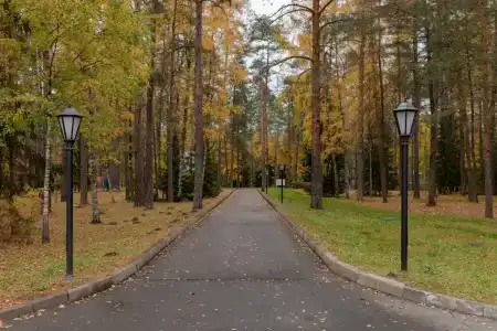 Омчино - Белая дача - 14