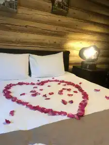 Усадьба Александрово - 68