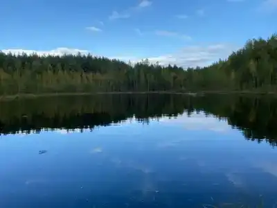 Кривск - 8