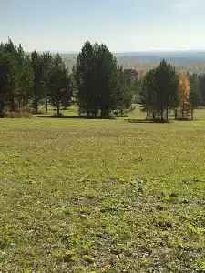 Ясная Поляна - 40