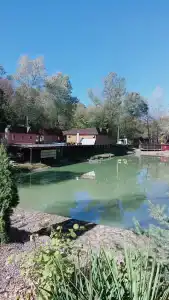 Комарово клуб - 62