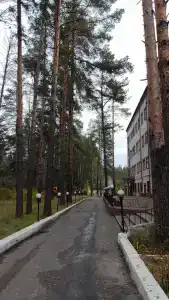 Баринова Роща - 25