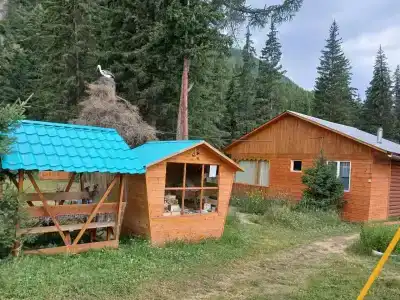 Лесной Дворик - 24