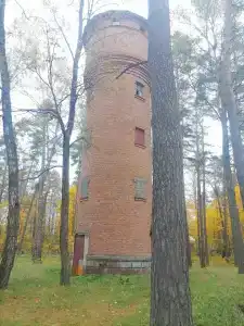 Красный Бор - 38