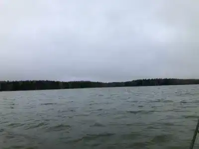 Подвязье - 11