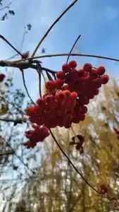 Хуторок - 23