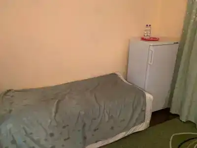 Беловежская пуща. №2 - 51