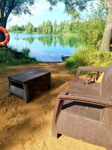 Ильмурзино - 81