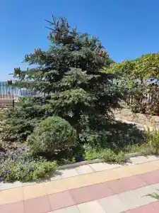 Пансионат Дельта - 22