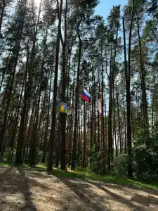 Берендей - 39