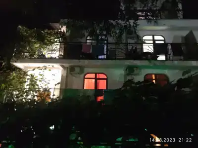 Эвкалипт - 26