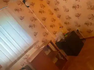 Зеленые ворота - 57