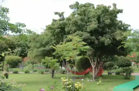 Красная Горка - 78