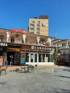 Дора - 8
