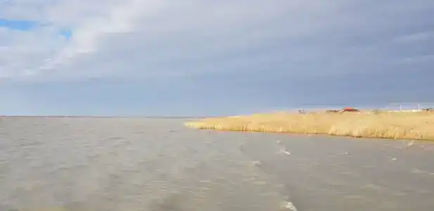 База отдыха на Сладком лимане - 24