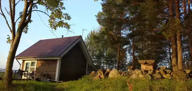 Робинзон - 46