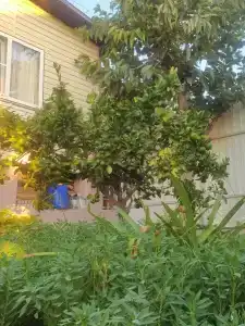 Гостевой дом на Победе 366 - 29