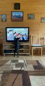 Коттеджи в Плотично - 47