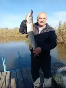 Тихий Берег - 20