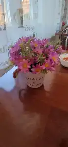 Байкальская Солянка - 39