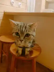 Старый Козельск - 49