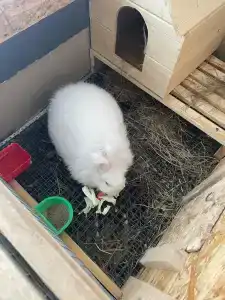 Кроличья нора - 90