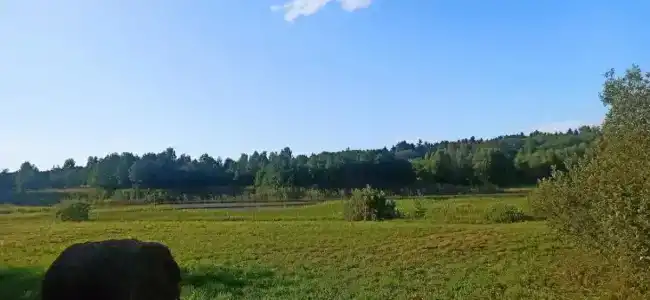 Гостевой дом на берегу реки с баней - 43