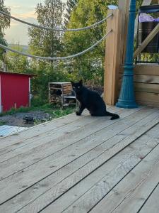 Юрта Лахти - 44